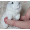 12'' Byron Realistic Reborn Baby Doll Boy