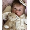 12'' Deirdre Realistic Reborn Baby Doll Girl